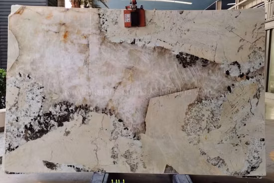 Brasilianischer Patagonien-Granit-Preis-Luxussteingranit/Quarz/Marmorplatte für Küchenarbeitsplatten/Arbeitsplatten/Dekoration/Bodenbelag/Wand